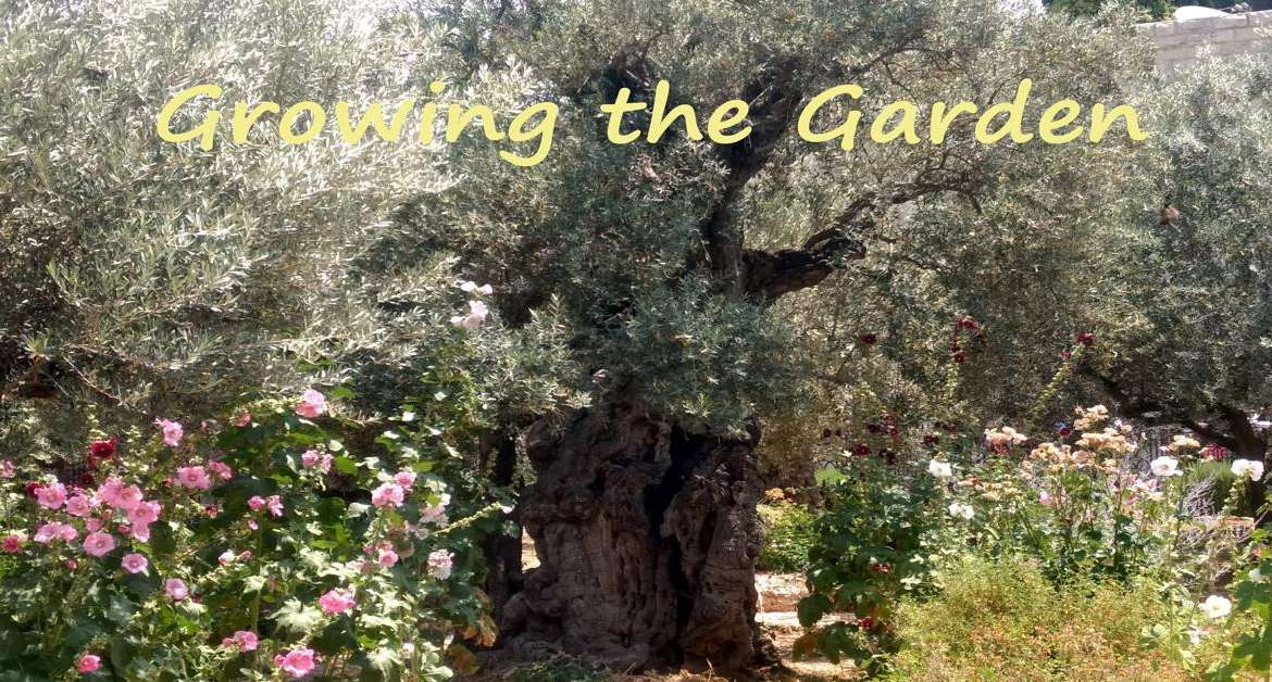 Growing the Garden