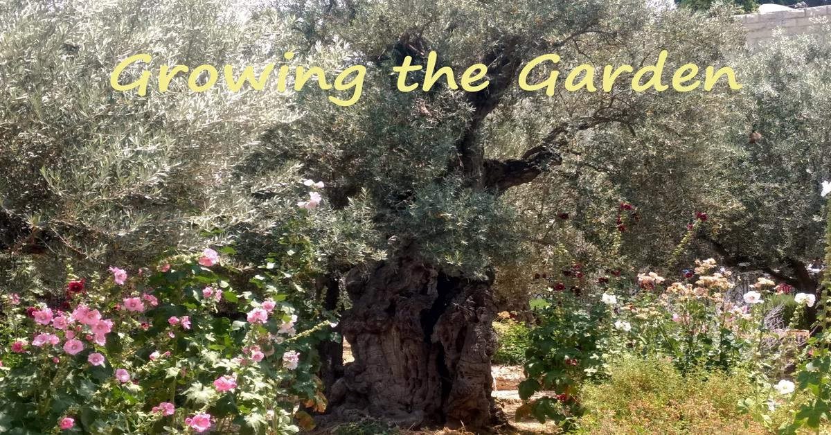 Growing the Garden